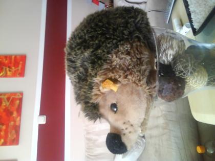 Steiff tiere
