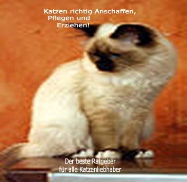 Katze richtig Anschaffen, Pflegen und Erziehen.