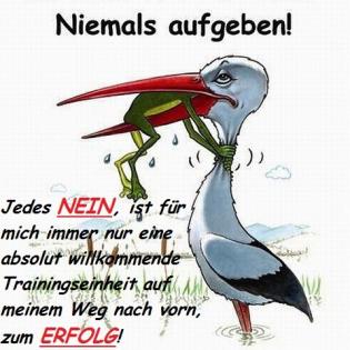 Biete eine Mitarbeit mit Firmenfahrzeug an