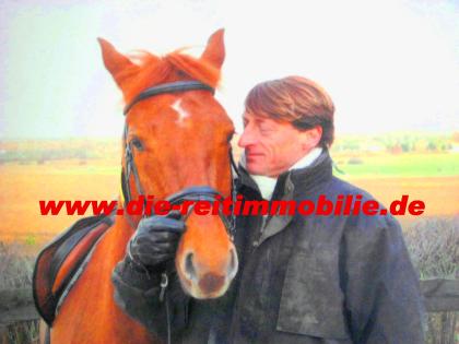 FACHMAKLER REITMMOBILEN-REITANLAGEN MIT EIGENEM FREIBERGER PFERD: