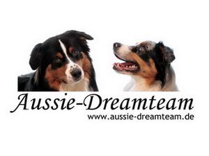  Australian Shepherd Deckrüden