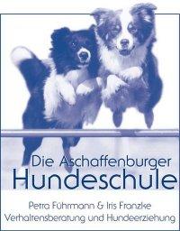 Kleinhunde-Spielstunde der Hundeschule Aschaffenburg