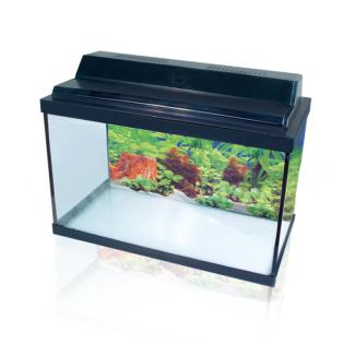 Wunderschönes, fast neues Aquarium mit Zubehör   
