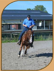 Westernreiten Unterricht-Training-Beritt