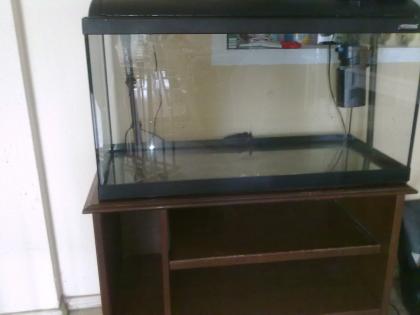 100l aquarium mit unterschrank