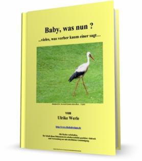 Alternativer Ratgeber rund ums Baby, Tipps zu Eisenmangel in der Schwangerschaft