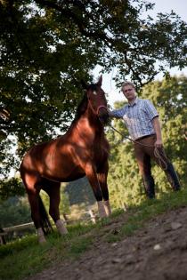 Traumpferd sucht Reitpartner/in Raum 58675