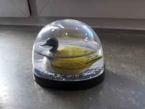14 superschöne Schneekugeln