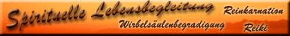 Sprituelle Lebensbegleitung - Reiki, Reinkarnation, Wirbelsäulenbegradigung