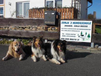 Sonjas- Hundeschule! Jetzt auch mit Welpenspielgruppe und Agilitytraining!