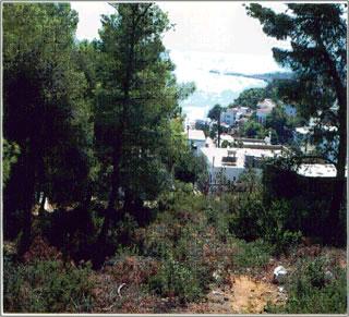 Grundstueck auf der Insel Alonissos/Griechenland