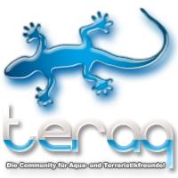 TERAQ-Forum.de - Die Community für Aqua- und Terraristikfreunde  