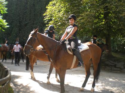 Liebevolle,wetterfeste und zuverlässige Pferdeliebhaberin sucht eine Reitbeteili