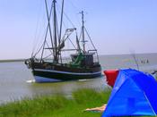 Ferienhaus und Ferienwohnung an der Deutschen Nordsee 