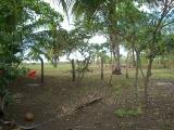 Schönes Grundstück direkt am Strand, Guanacaste, Costa Rica