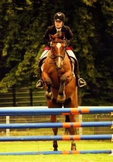 Hannoveraner sucht zuverlässige Reitbeteidigung