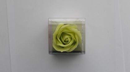 Baderose in Geschenkschachtel