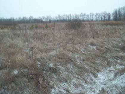 Bioimkerei Ukraine
