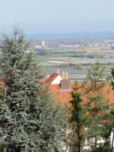 Exklusives TOP-Grundstück - garantiert Inflationssicher