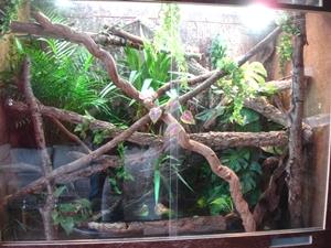 Terrarium 200x100x100 cm komplett mit Technik!!