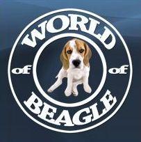 Beaglefreunde Bayern - World of Beagle - Beagleforum