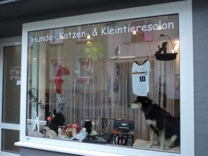 Hundesalon & Katzensalon Behandlung ohne Narkose