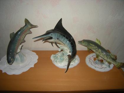 Angler aufgepasst