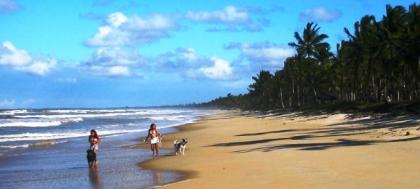 Verpachte Farm in Bahia / BRASILIEN  -  Euro 200 / Monat