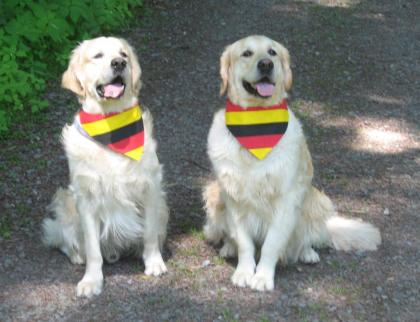 Hundehalstuch mit Länder-Flaggen / SCHWARZ-ROT-GOLD