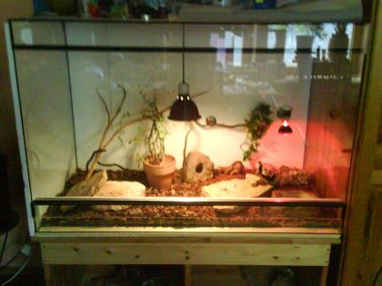 ** Terrarium (120 x 60 x 80) + Zubehör **