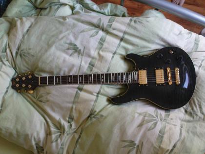 Peavey exp signatur serie E-Gitarre (PRS Style)