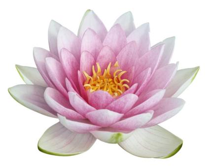 Reiki, Wahrsagen, Kartenlegen Medium hilft in jeden Lebenslagen