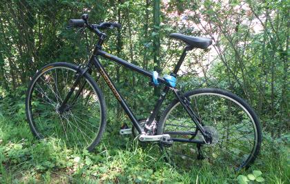 Kona Citybike, 2 Monate alt