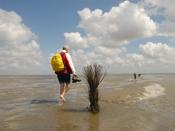 An der Nordsee zu vermieten: Familienfreundliche Ferienhäuser und Ferienwohnunge