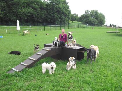 Hundebetreuung liebevoll, professionell