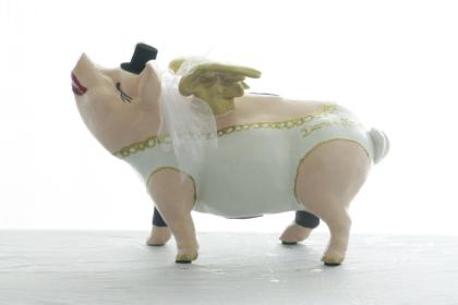 Sparschwein Paradies und Geldgeschenke zu Hochzeit