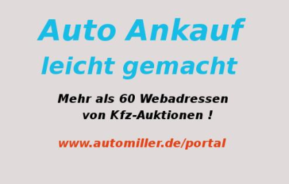 Kfz-Auktionen für Händler