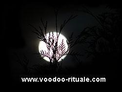 Power Turbo Voodoo Rituale Partnerrückführung Partnerzusammenführung Liebesmagie