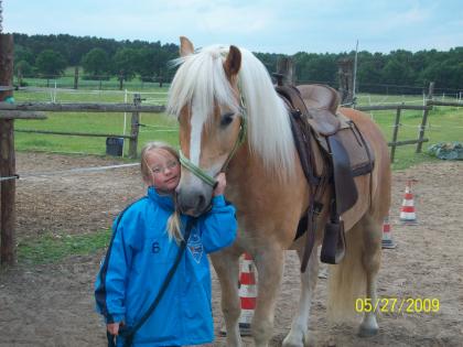 Biete Reitbeteiligung.Freizeit,Western