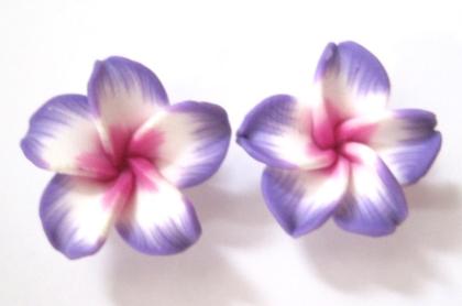 Hawaii Blumen Ohrstecker
