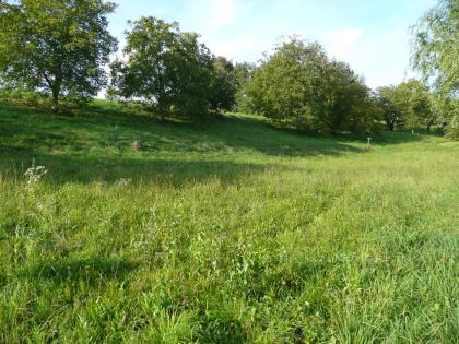 Baugrund in Aussichtslage