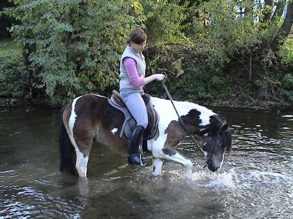 Motivierte Reiterin sucht Reitbeteiligung in HANNOVER