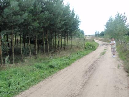 Grundstück in Polen 6600 m2