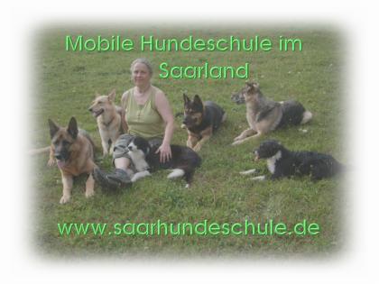 LesLoups - Hundeschule im Saarland