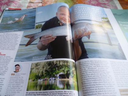Karpfen Angel Zeitschriften 9 Stück Nr. 2