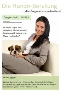 Hundehebamme, Geburtshilfe-Hund, Zuchthelfer, Züchter-Hotline, TEL: 09001-775555