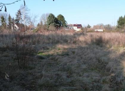 Grundstück, Bauland in Region Teltow, Großbeeren, Stahnsdorf, Nuthetal, Michendo