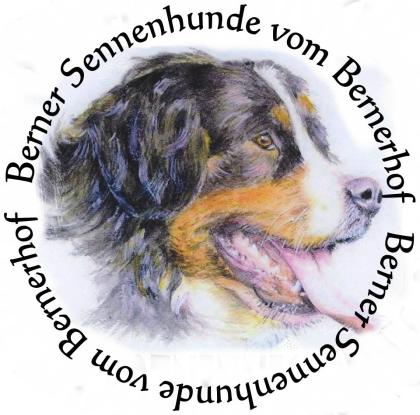 Sie suchen einen süßen Berner Sennen Welpen ?