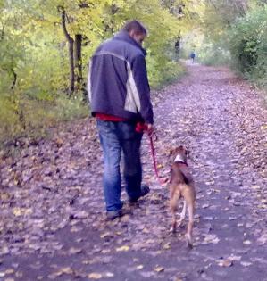 Aris   dieser hübsche Hundejunge hatte noch nie ein eigenes Zuhause 