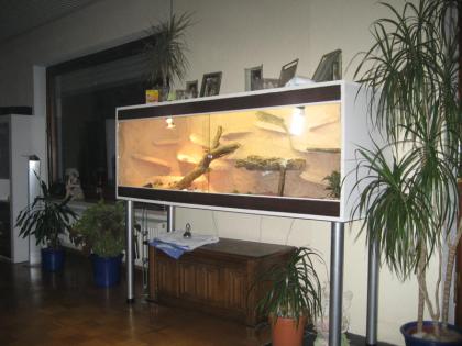 Exkluvis Terrarien zum Preis von OsB!!!!!